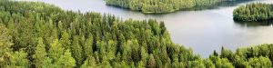 Uusipuu kilpailu 2018